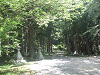 camp24 (117)_samu.gif